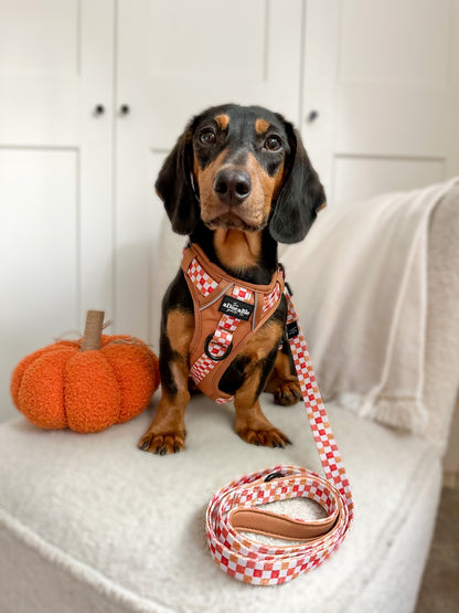 Hike & Go™ Harness - Gingerbread Waffle