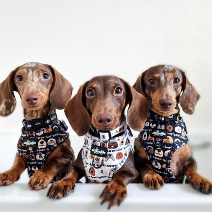 Adjustable Harness - The aDoraBle Pooch Co x Boop My Nose - Boop! - Black