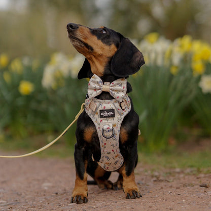 Dog Dickie Bow Tie - Spring Garden