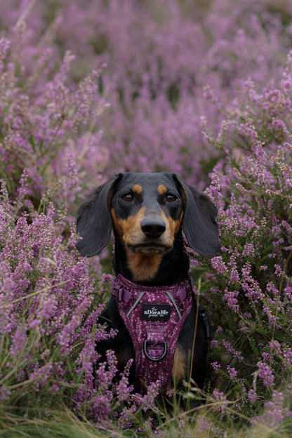 Hike & Go™ Harness - Highland Heather