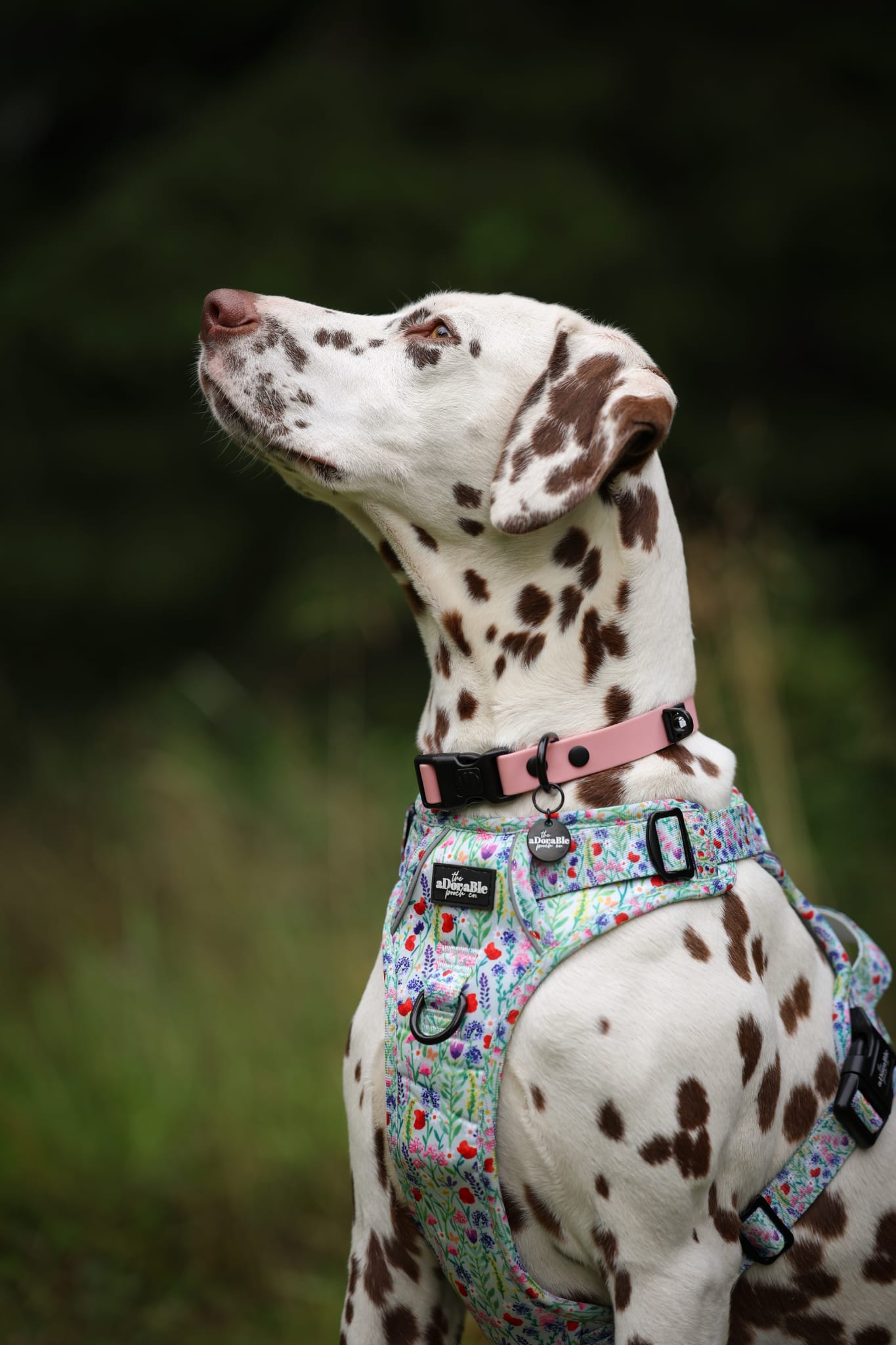 HydroFlex Lite™ Dog Collar - Marshmallow Pink