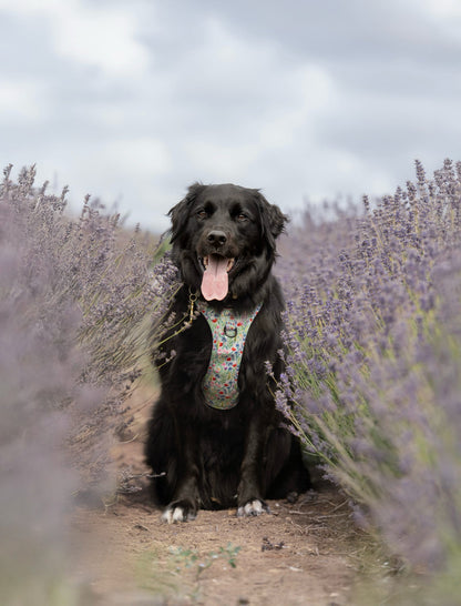 Hike & Go Lite™ Harness - Wildflower Meadow