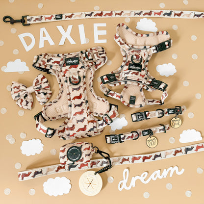 Hike & Go Lite™ Harness - Daxie Dream