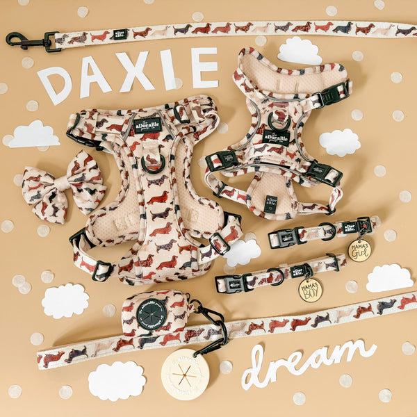 Hike & Go Lite™ Harness - Daxie Dream