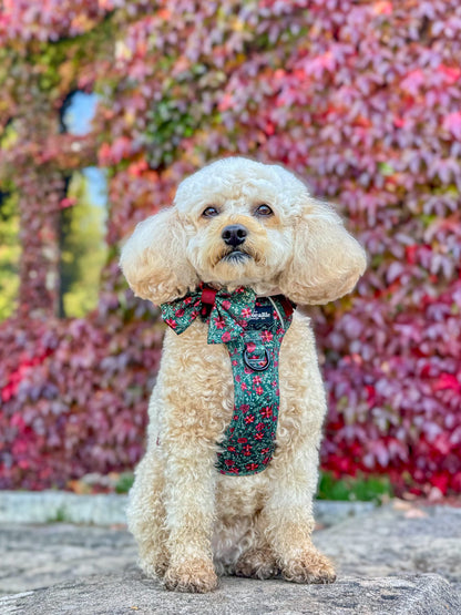 Hike & Go Lite™ Harness - Holly & Ivy