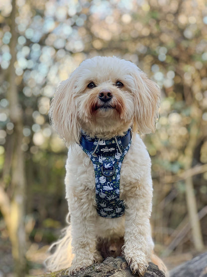 Hike & Go Lite™ Harness - Twelve Days