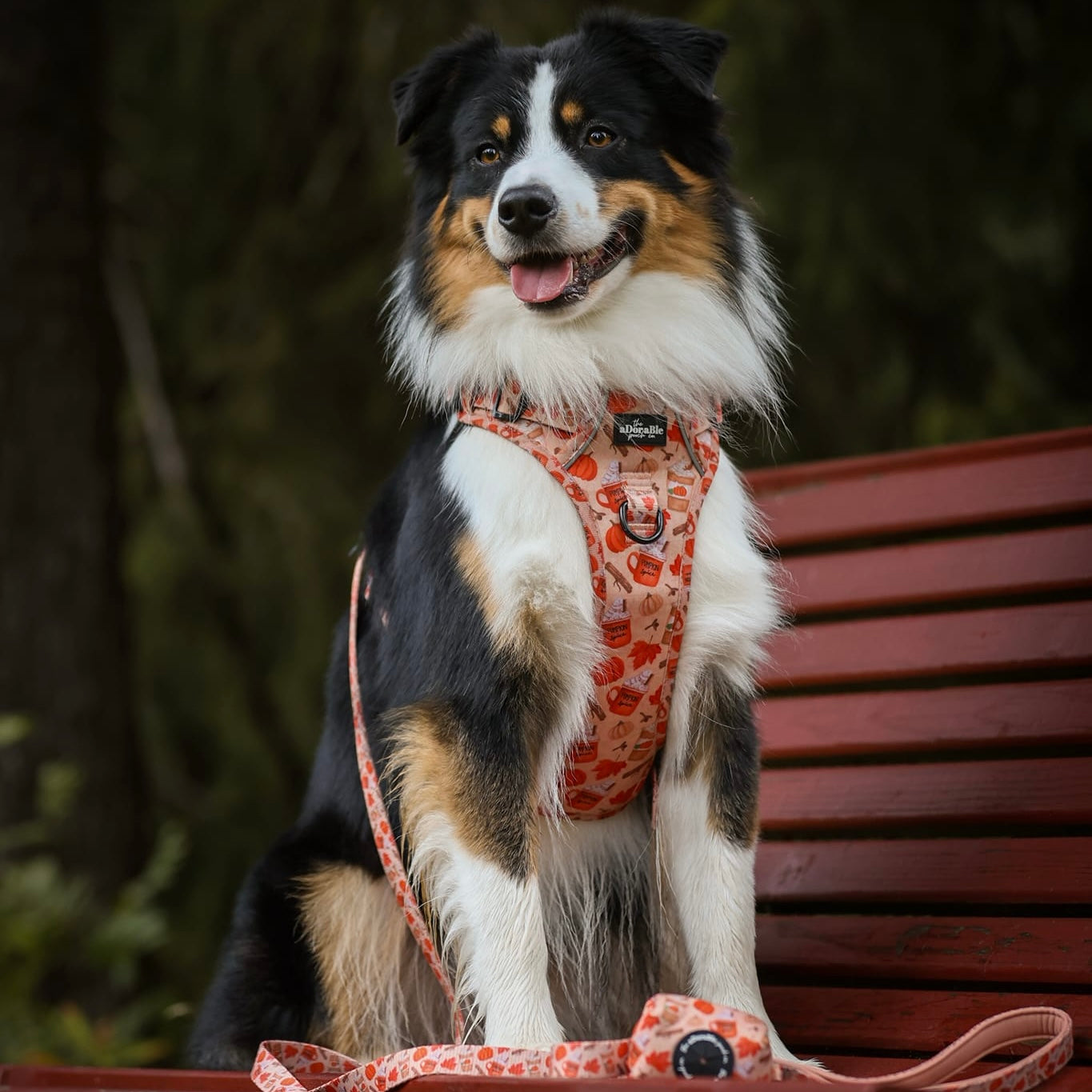 Poop Bag Holder - Pumpkin Harvest