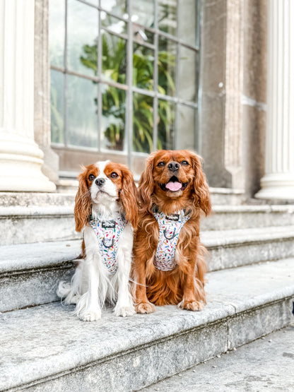 Hike & Go Lite™ Harness - Festive Lights