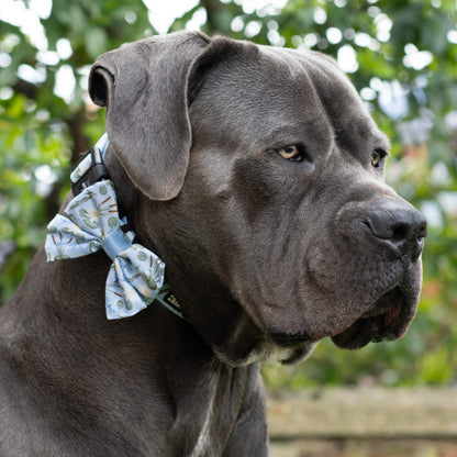 Dog Sailor Bow Tie - Willow Waters