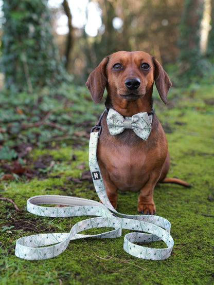 Dog Lead - Silent Snowdrops