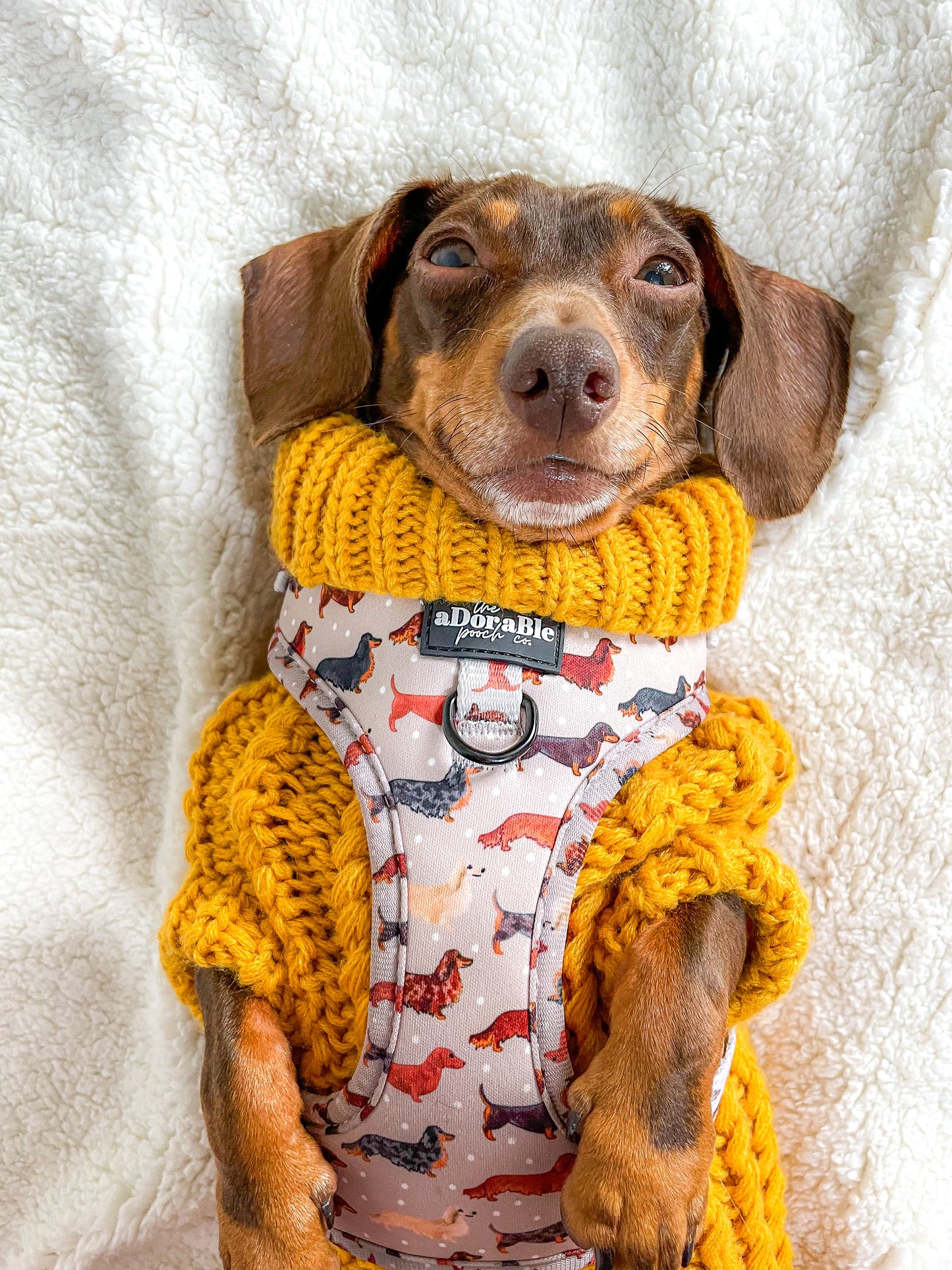 Hand Knitted Dachshund Jumper - Mustard Yellow