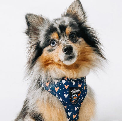 Adjustable Harness - Lots Of Love
