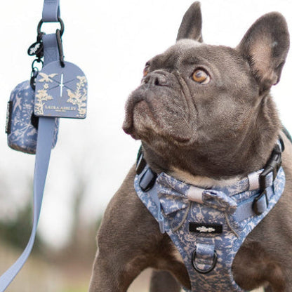 Dog wearing the Shepherd's Purse Laura Ashley dog harness and lead with a patterned design.
