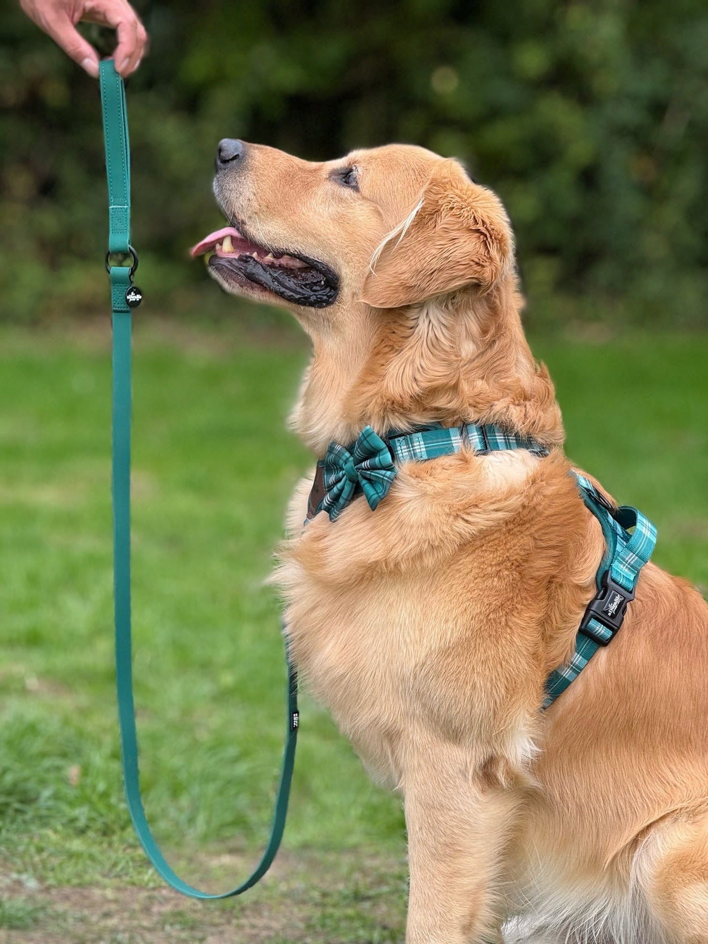 HydroFlex™ Waterproof Dog Lead - Pheasant Green