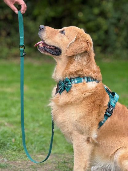HydroFlex™ Waterproof Dog Lead - Pheasant Green