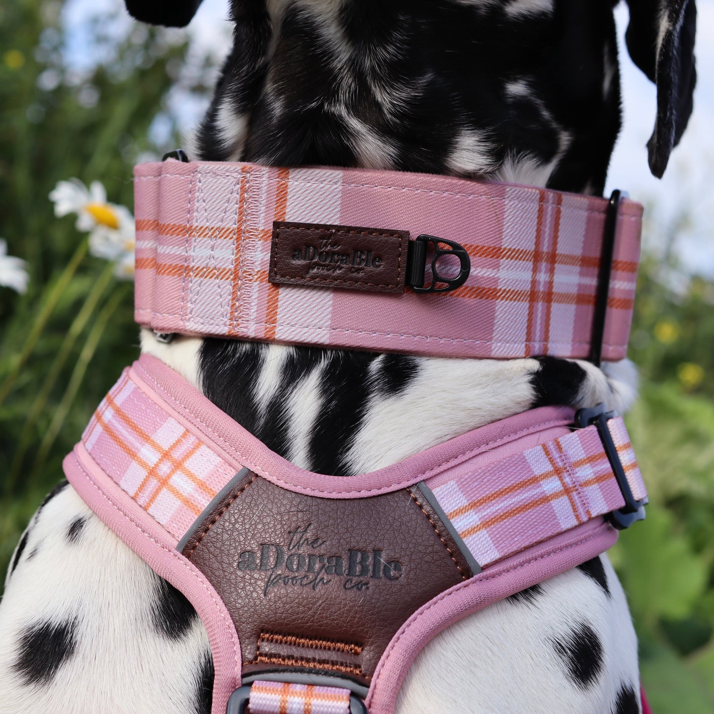 Heritage Martingale Collar - Strawberry Cottage