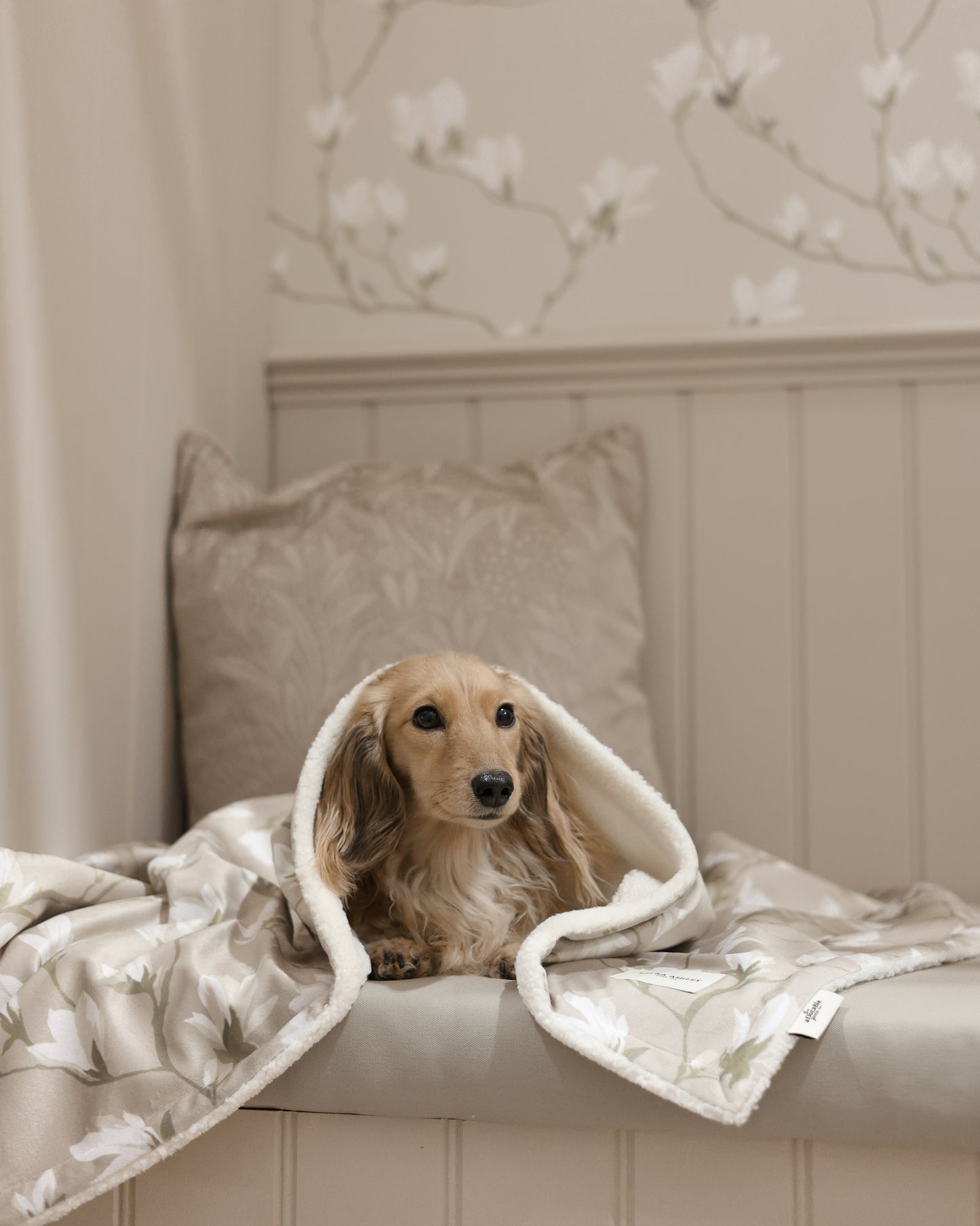 Laura Ashley Dog & Puppy Bed Blanket - Magnolia Grove