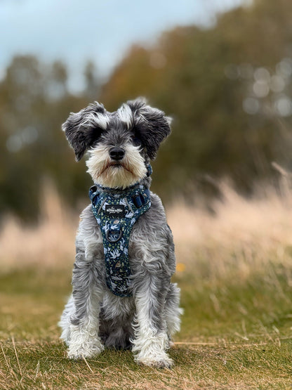 Hike & Go Lite™ Harness - Twelve Days