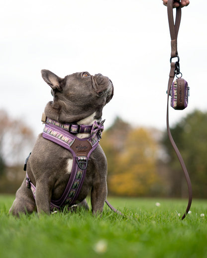 Streamline Pro™ Dog Harness - Moonlit Pines
