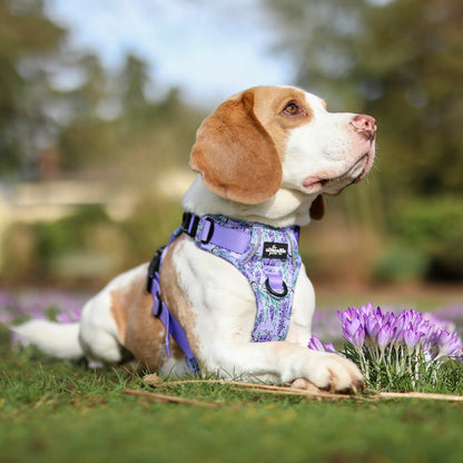 Hike & Go Lite™ Harness - Wisteria Waltz