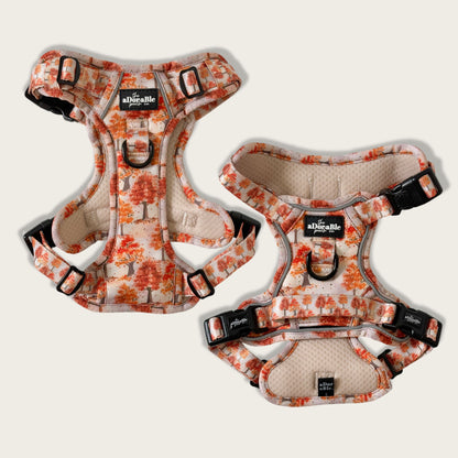 Hike & Go Lite™ Harness - Autumn Orchard