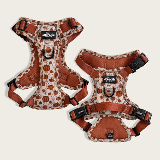 Hike & Go™ Harness - Pumpkin Farm
