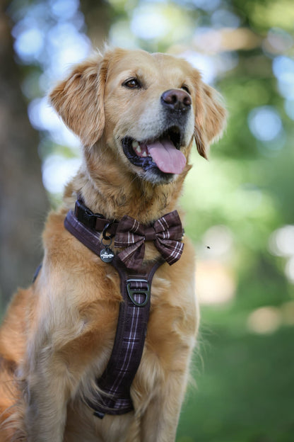 Heritage Sailor Bow Tie - Truffle Brown