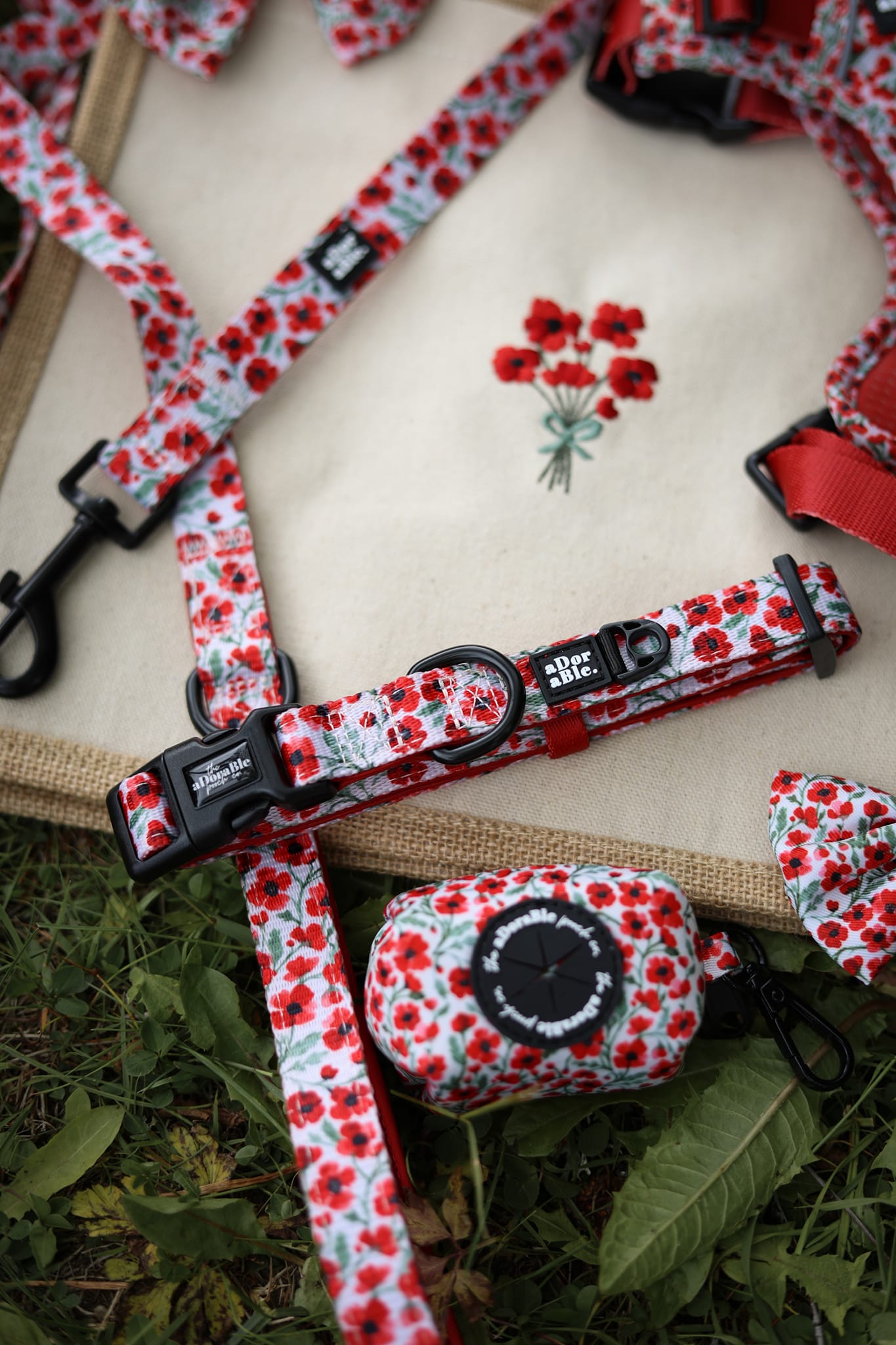 Collar - Painted Poppies
