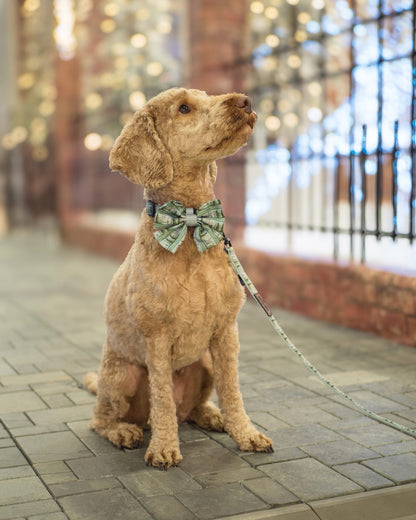 Sailor Bow Tie - Daydream Heights