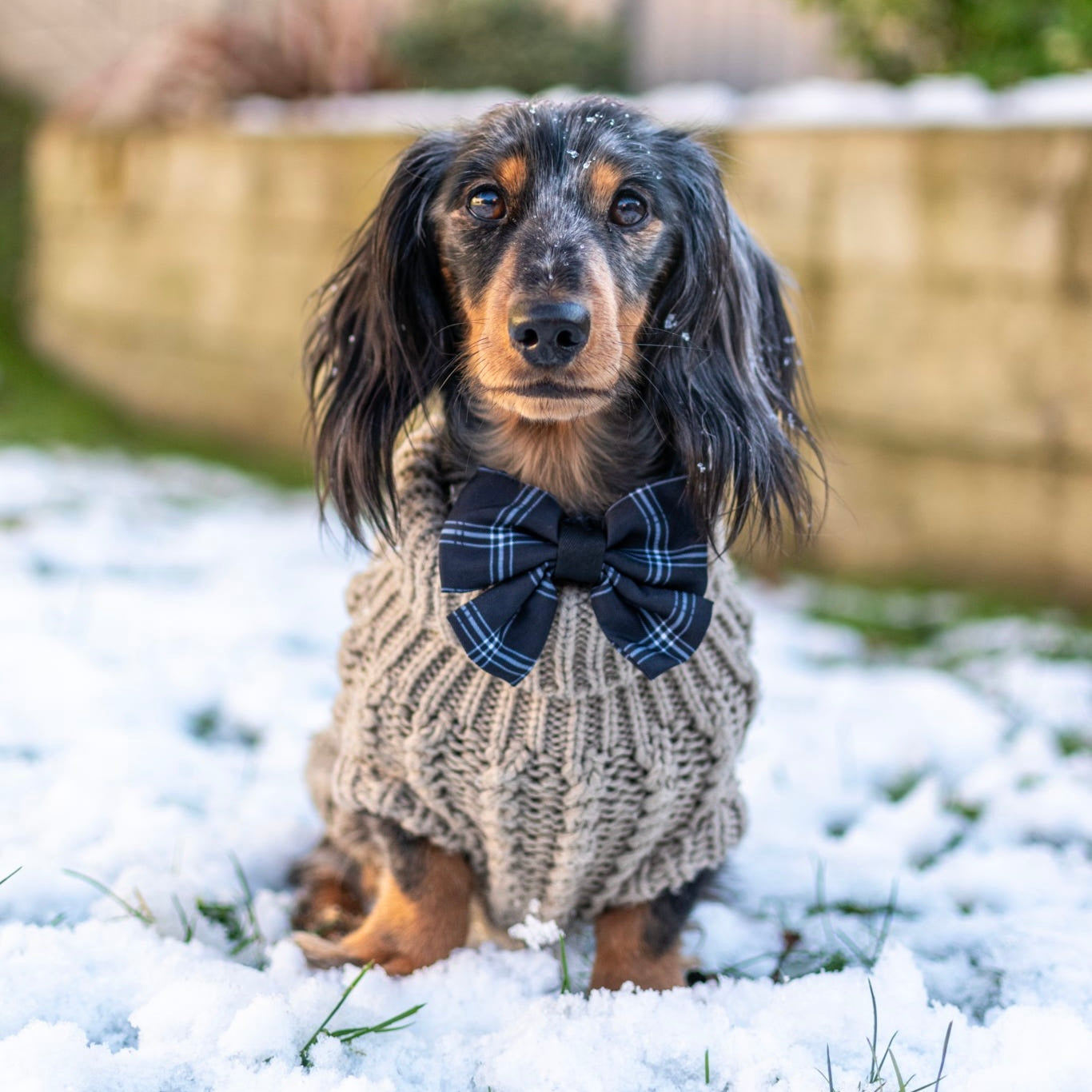 Sailor Bow Tie - LUXE Noir Plaid