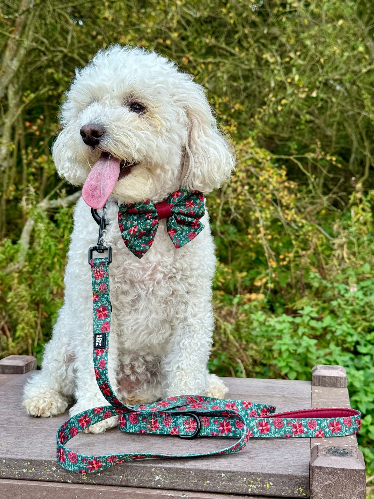 Sailor Bow Tie - Holly & Ivy