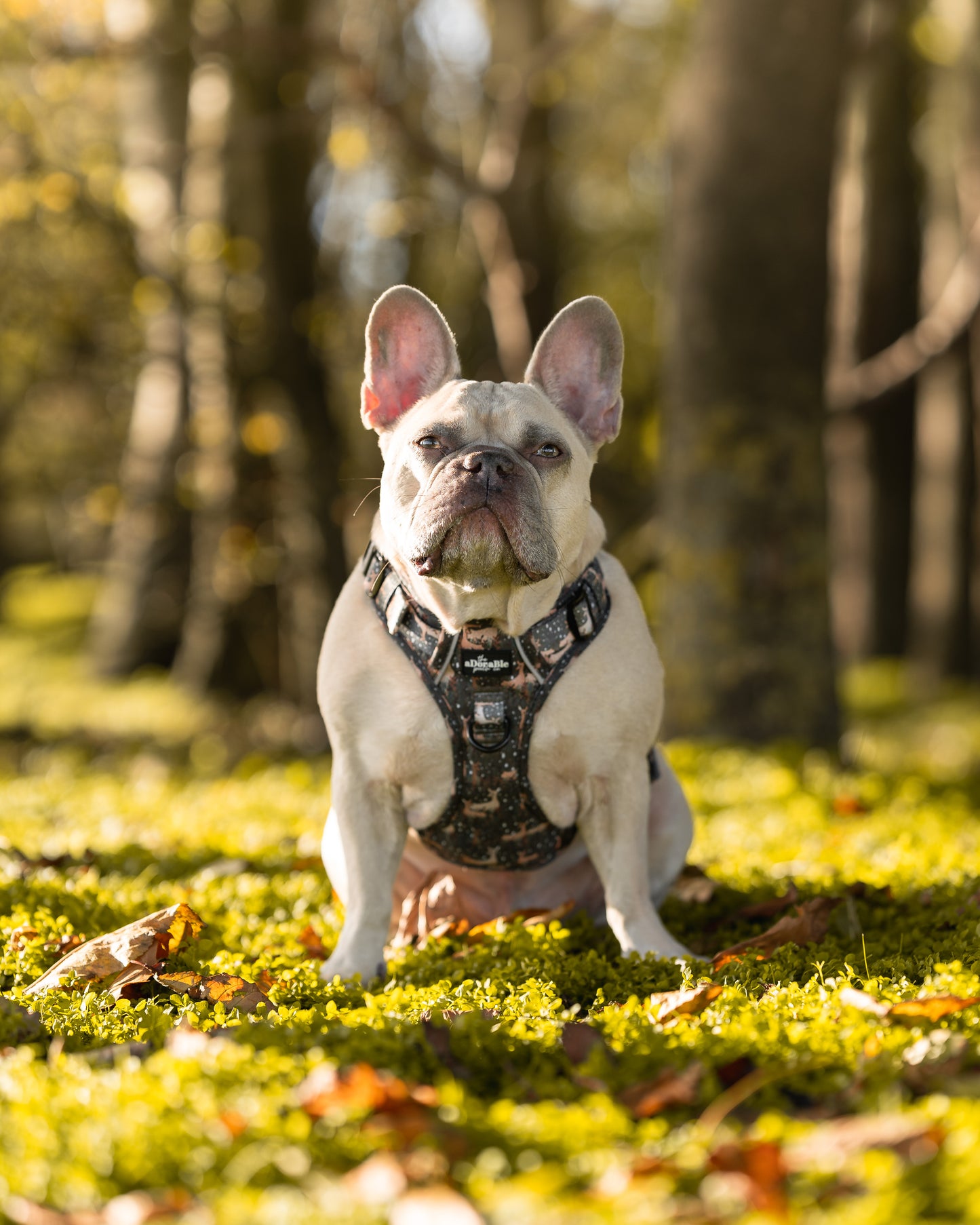 Hike & Go™ Harness - Nature Trails