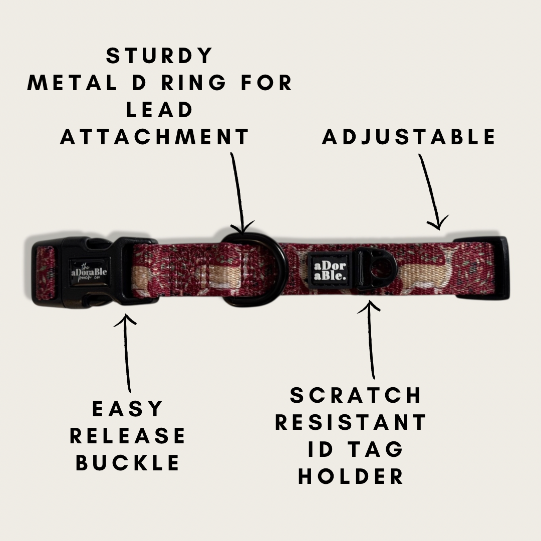 Collar - Winter Fawn