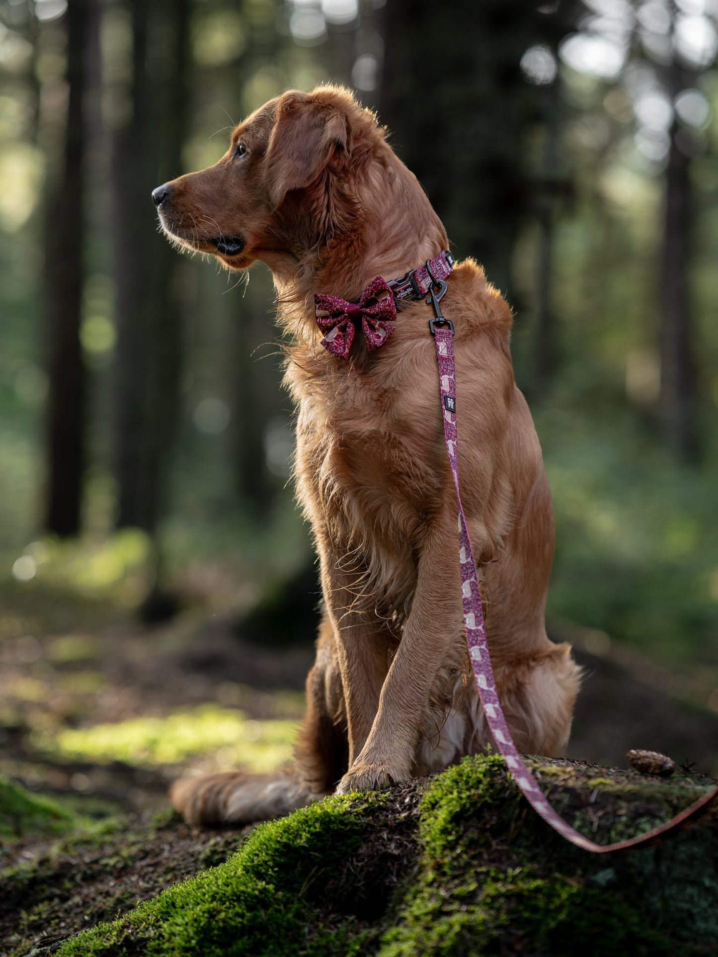 Sailor Bow Tie - Winter Fawn