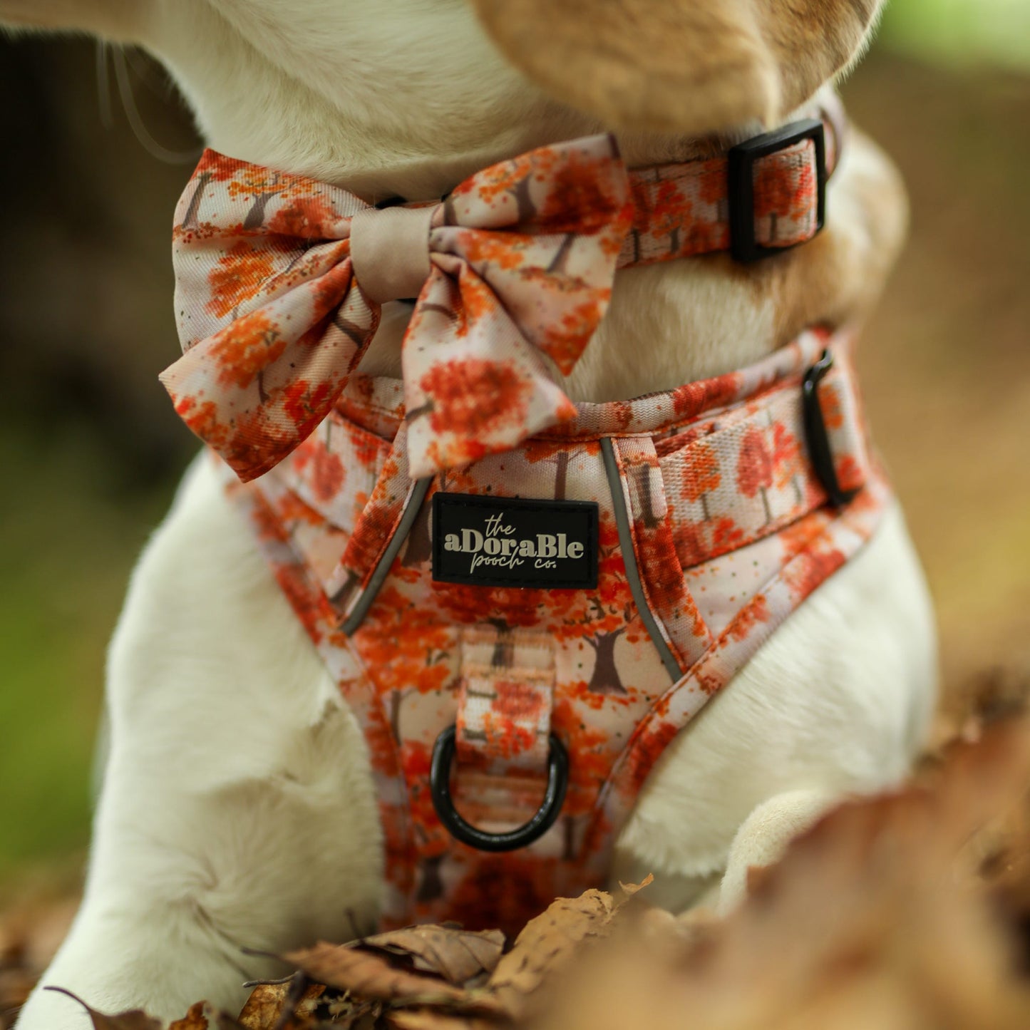 Sailor Bow Tie - Autumn Orchard