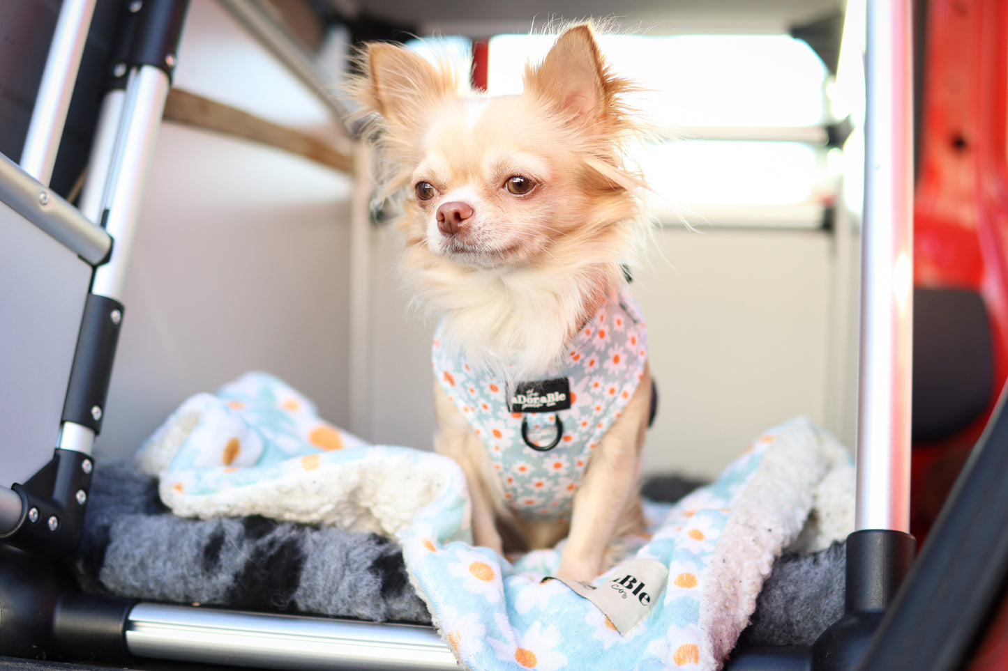 Adjustable Harness - Oopsy Daisy