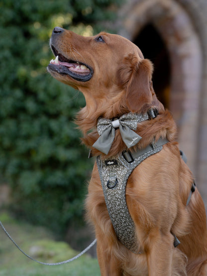 Laura Ashley Dog Harness - Sweet Alyssum