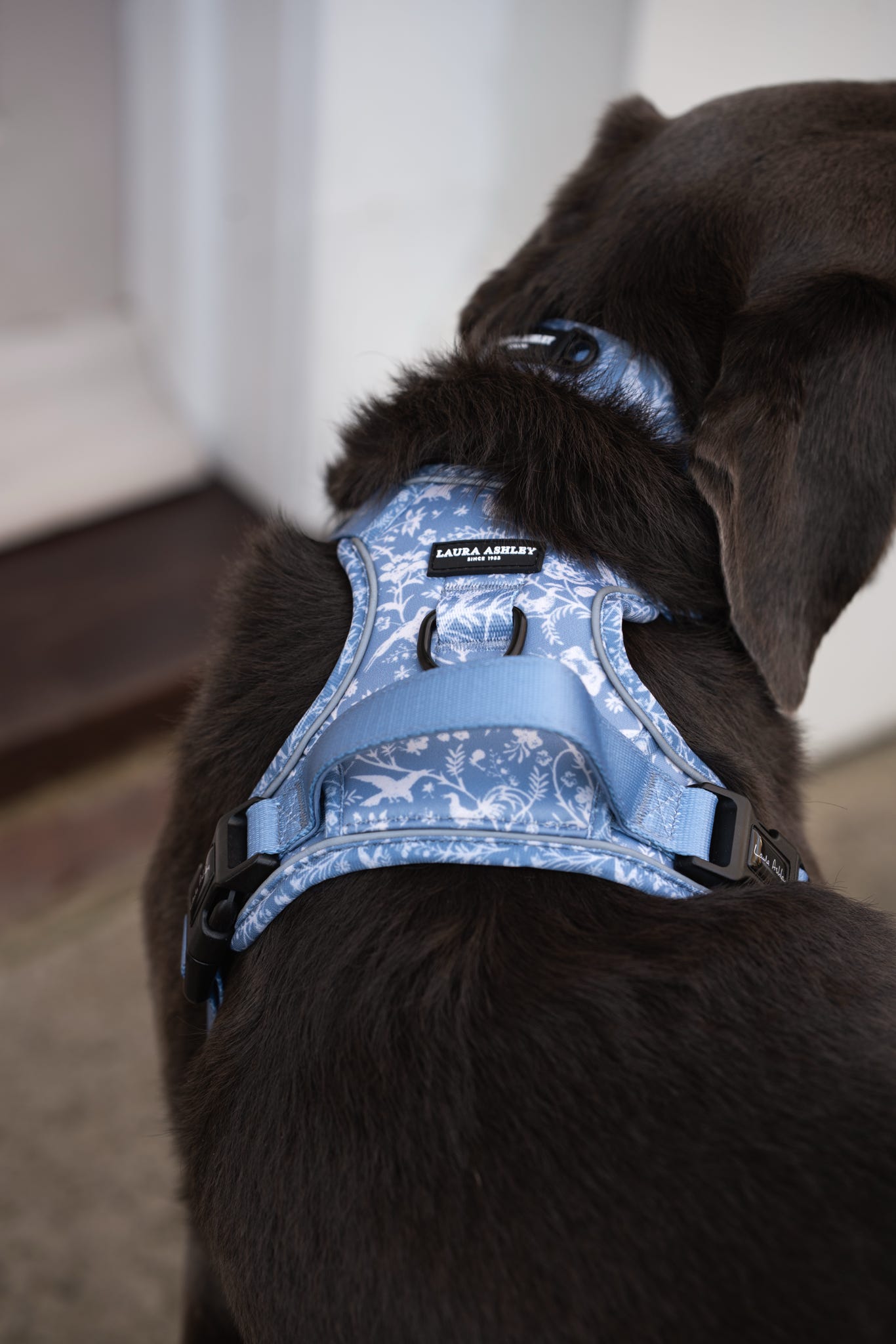 Laura Ashley Dog Harness - Shepherd's Purse