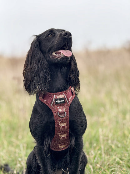 Hike & Go Lite™ Harness - Winter Fawn