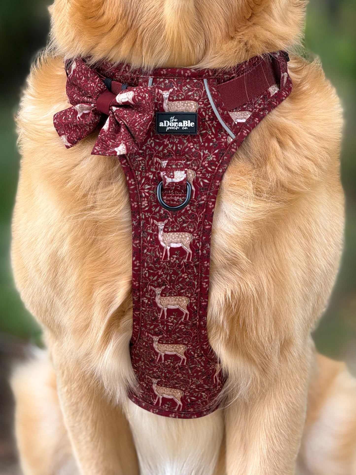 Hike & Go Lite™ Harness - Winter Fawn
