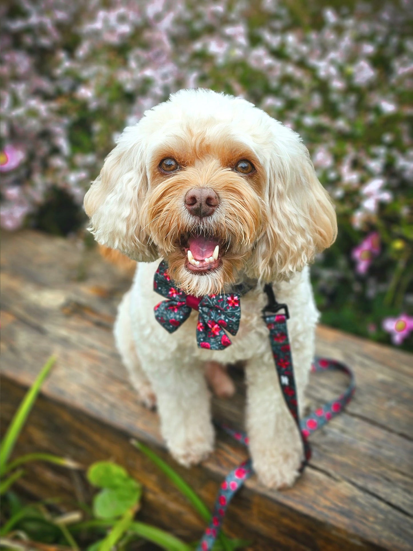 Sailor Bow Tie - Holly & Ivy