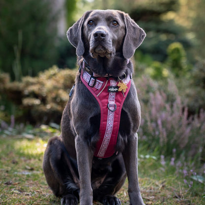 Hike & Go™ Harness - Cherrywood Ivy