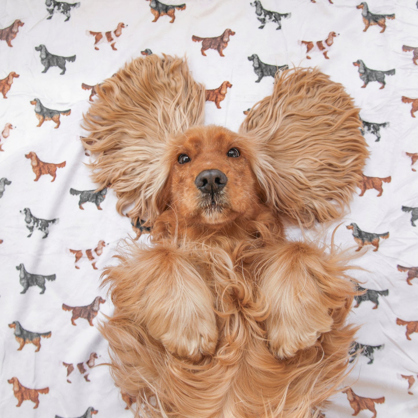 Supersize Soft Blanket - Watercolour Cocker Spaniels