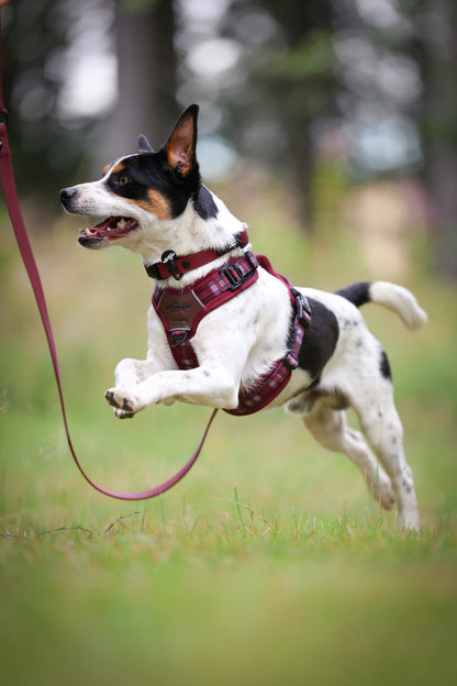 HydroFlex™ Waterproof Dog Lead - Merlot