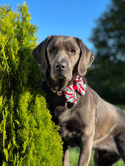 Sailor Bow Tie - Candy Cane Swirl