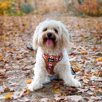 Hike & Go™ Harness - Gingerbread Waffle