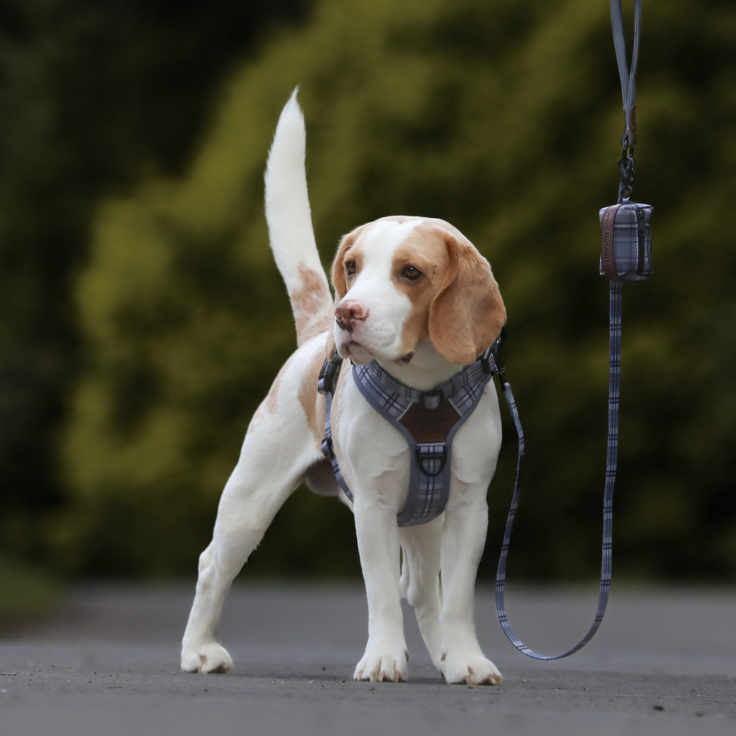 Streamline Pro™ Dog Harness - Heritage Collection - Gunsmoke Grey