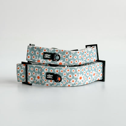 Martingale Collar - Oopsy Daisy