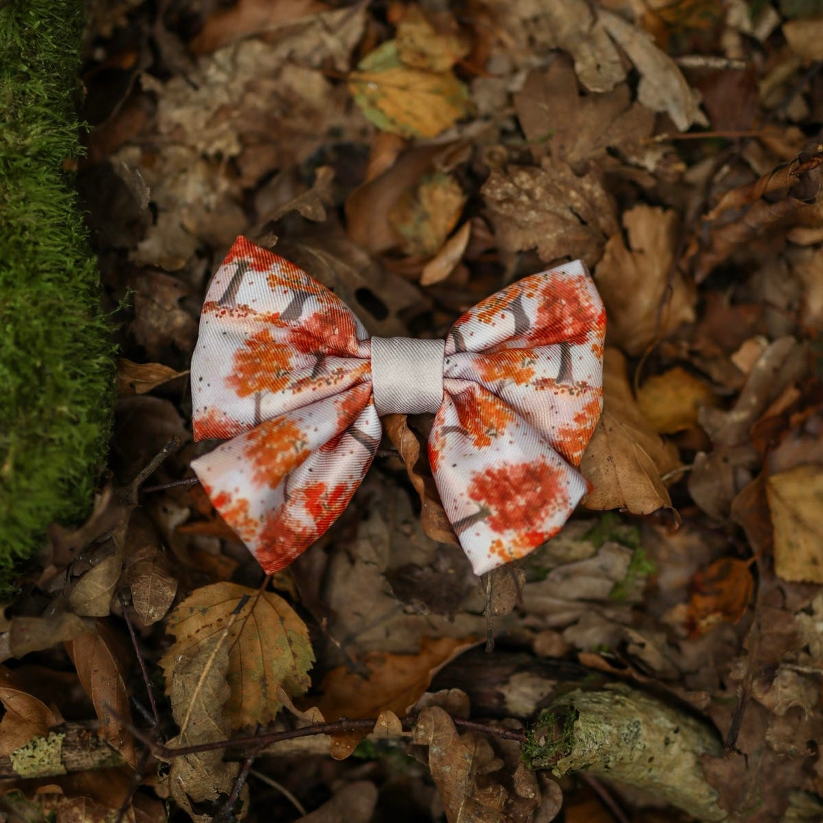 Sailor Bow Tie - Autumn Orchard