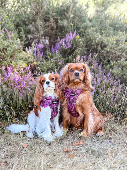 Hike & Go™ Harness - Highland Heather